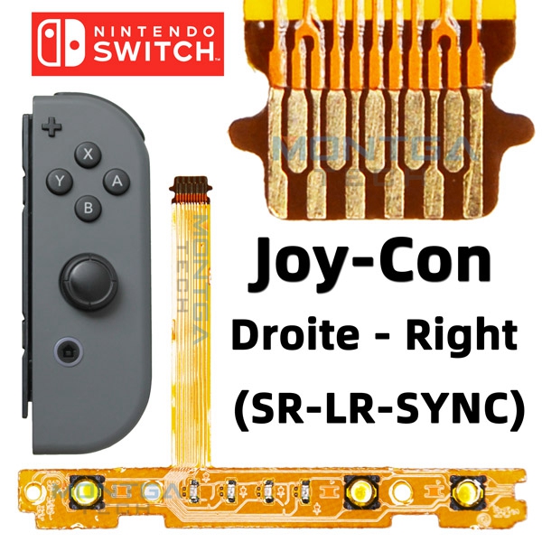 marque generique - Spring pour Switch Joy - Bouton Con LR ZL ZR + Tournevis  - Manettes Switch - Rue du Commerce