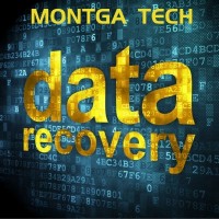 数据恢复费用-客户同意取走恢复出的数据