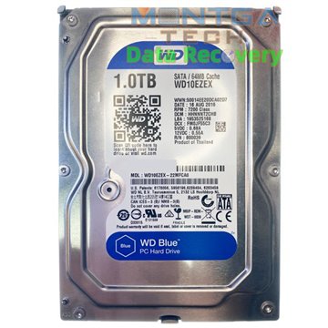 WD 1TB WD10EZEX-22MFCA0 Internal hard drive Evaluation service for data recovery + Return costs / destroy