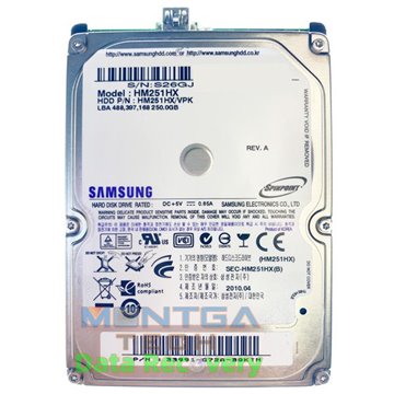 Samsung 250GB HM251HX/VPK Disque dur Externe Service d'évaluation pour la récupération des données et Frais de retour / détruire