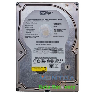 WD 250GB WD2500YS-01SHB1 Internal hard drive Evaluation service for data recovery + Return costs / destroy