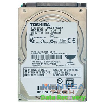 Toshiba 750GB MK7575GSX GT001C Disque dur Interne Service d'évaluation pour la récupération des données et Frais de retour / dét